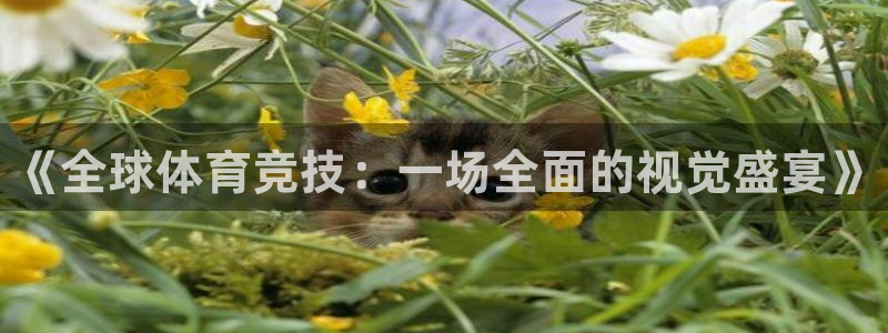JJB竞技宝官网下载平台是正规平台吗知乎:《全球体育竞技:一