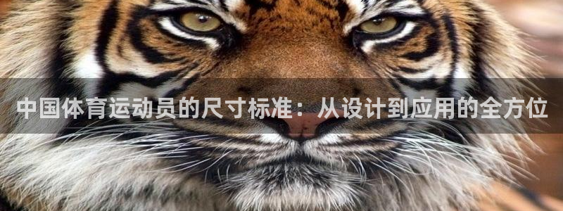JJB竞技宝官方正版app集团官网网址:中国体育运动员的尺寸