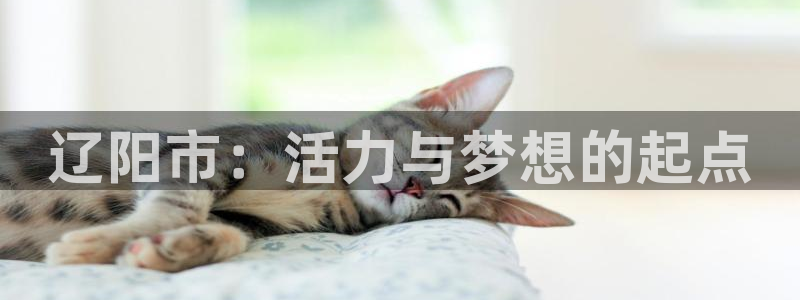 JJB竞技宝官网下载平台是正规平台吗安全吗:辽阳市:活力与梦