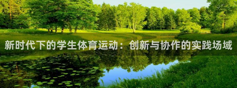 海南JJB竞技宝官网下载:新时代下的学生体育运动:创新与协作