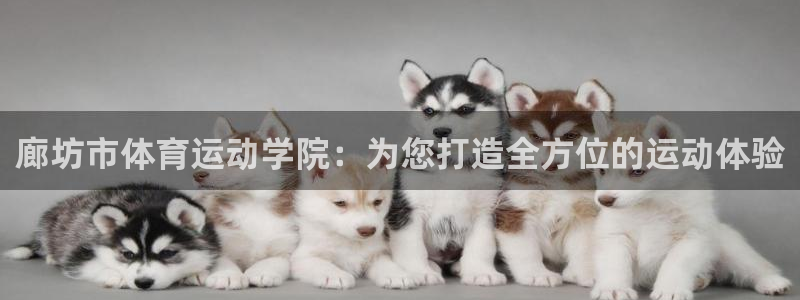 JJB竞技宝官方正版app娱乐首页官网下载:廊坊市体育运动学