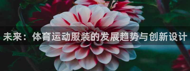 JJB竞技宝官方平台体育:未来:体育运动服装的发展趋势与创新